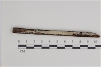 登錄號:F0035558藏品圖，第1張