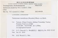 登錄號:F0035559藏品圖，第2張