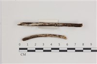 登錄號:F0035559藏品圖，第1張
