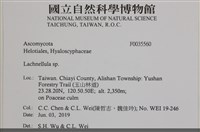 登錄號:F0035560藏品圖，第2張
