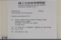 登錄號:F0035561藏品圖，第2張