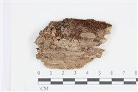 登錄號:F0035561藏品圖，第1張