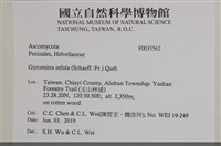 登錄號:F0035562藏品圖，第2張