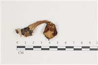 登錄號:F0035562藏品圖，第1張