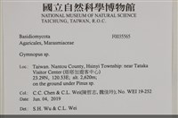 登錄號:F0035565藏品圖，第2張