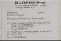 登錄號:F0035568藏品圖，第2張