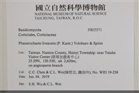 登錄號:F0035571藏品圖，第2張