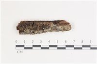 登錄號:F0035572藏品圖，第1張