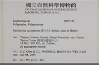 登錄號:F0035574藏品圖，第2張