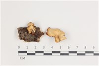 登錄號:F0035574藏品圖，第1張