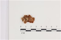 登錄號:F0035574藏品圖，第3張
