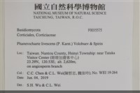 登錄號:F0035575藏品圖，第2張