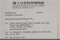 登錄號:F0035576藏品圖，第2張