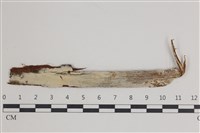 登錄號:F0035577藏品圖，第1張
