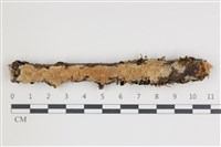 登錄號:F0035579藏品圖，第1張