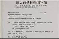 登錄號:F0035580藏品圖，第2張