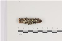 登錄號:F0035583藏品圖，第1張