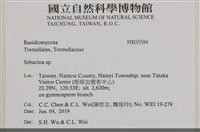 登錄號:F0035584藏品圖，第2張