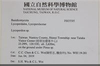 登錄號:F0035585藏品圖，第2張