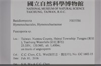 登錄號:F0035586藏品圖，第2張