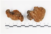 登錄號:F0035586藏品圖，第1張