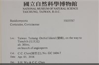 登錄號:F0035587藏品圖，第2張