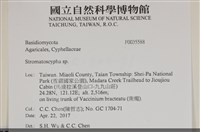 登錄號:F0035588藏品圖，第2張