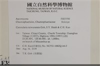 登錄號:F0035590藏品圖，第2張