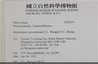 登錄號:F0035591藏品圖，第2張