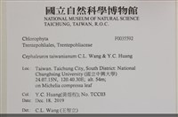 登錄號:F0035592藏品圖，第2張