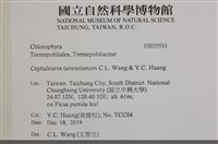 登錄號:F0035593藏品圖，第2張