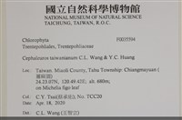 登錄號:F0035594藏品圖，第2張