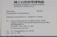 登錄號:F0035595藏品圖，第2張