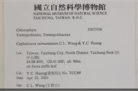 登錄號:F0035596藏品圖，第2張