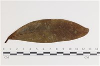 登錄號:F0035596藏品圖，第1張