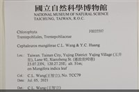 登錄號:F0035597藏品圖，第2張