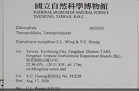館號:F0035598藏品圖，第2張