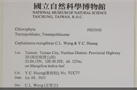 登錄號:F0035600藏品圖，第2張