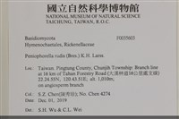 登錄號:F0035603藏品圖，第2張