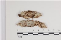 登錄號:F0035603藏品圖，第1張