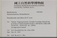登錄號:F0035604藏品圖，第2張