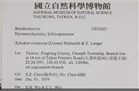 登錄號:F0035607藏品圖，第2張