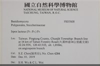登錄號:F0035608藏品圖，第2張