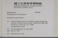 登錄號:F0035609藏品圖，第2張