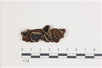 登錄號:F0035609藏品圖，第1張