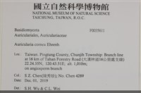 登錄號:F0035611藏品圖，第2張