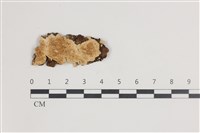 登錄號:F0035612藏品圖，第1張