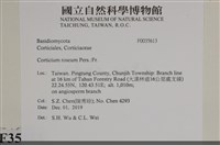 登錄號:F0035613藏品圖，第2張