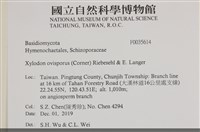 登錄號:F0035614藏品圖，第2張