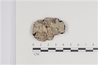 登錄號:F0035622藏品圖，第1張